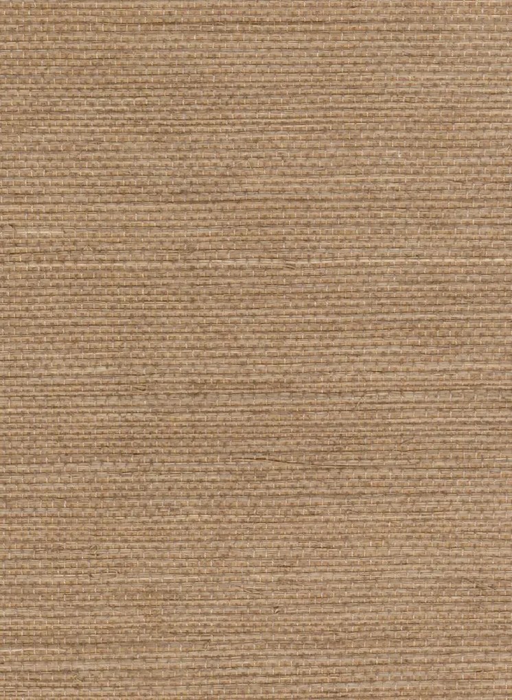 Élitis Tapete Sisal - RM 1069 04