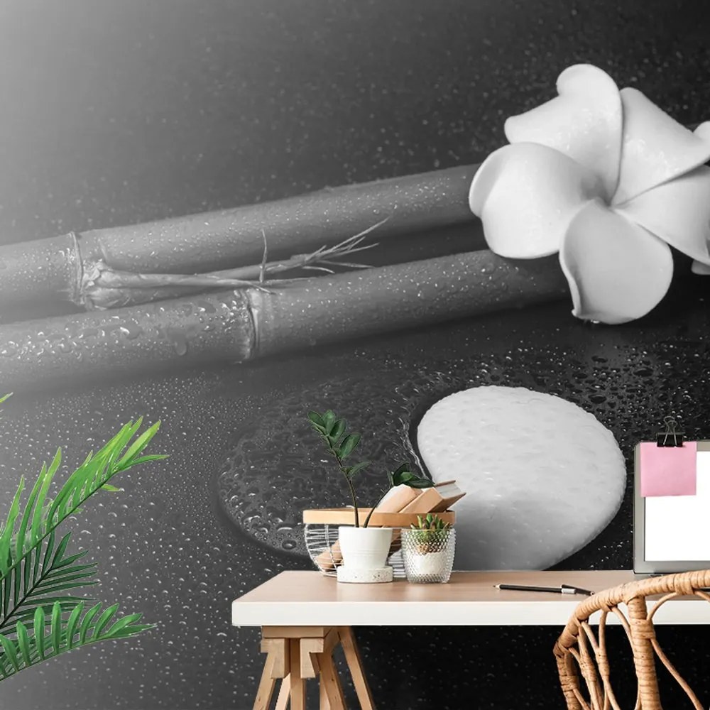 Carta da parati – Natura morta in bianco e nero con Yin e Yang