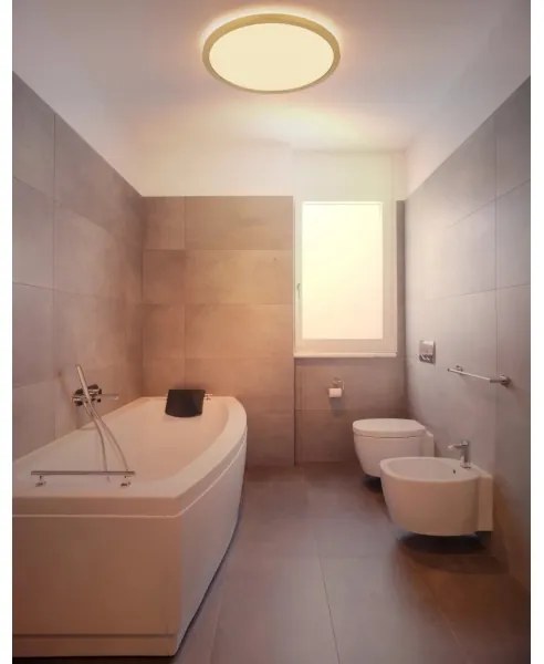 Globo 41562-24MM -Plafoniera LED dimmerabile da bagno SAPANA LED/24W/230V IP44