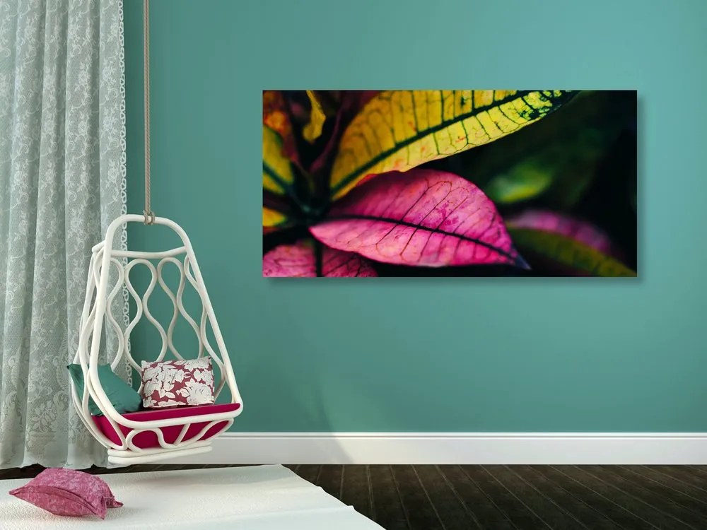 Quadro su tela – Foglie fresche