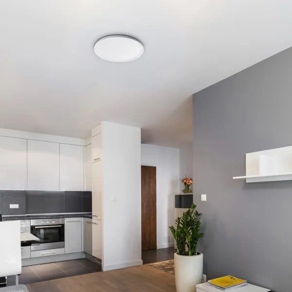 Rabalux 3428 - Plafoniera LED dimmerabile PAVEL LED/22W/230V