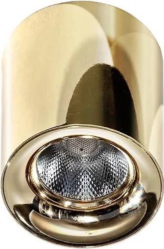 Azzardo AZ2846 - Plafoniera LED MANE LED/10W/230V