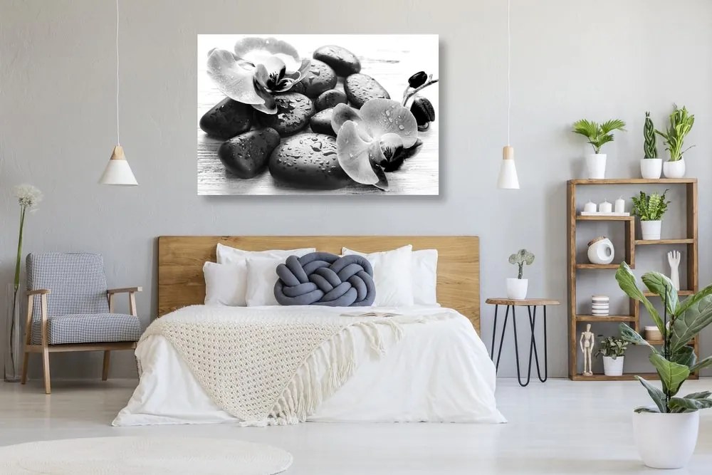Quadro su tela – Bella armonia di pietre e orchidee in bianco e nero