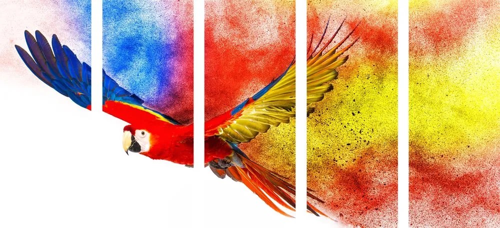 Quadri 5 pezzi – Volo di pappagallo