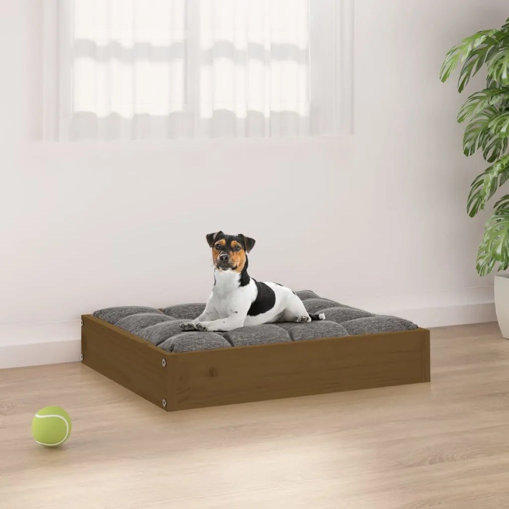 Cuccia Per Cani Ambrata 51,5x44x9 Cm İn Legno Massello Di Pino /