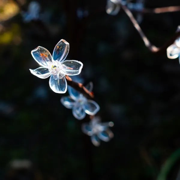 LED RGBW Lampada solare TREE LED/0,1W/1,2V 600 mAh IP44 marrone