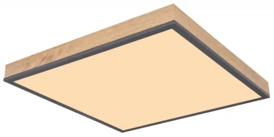 Globo 416080WD2 - Plafoniera LED DORO LED/24W/230V