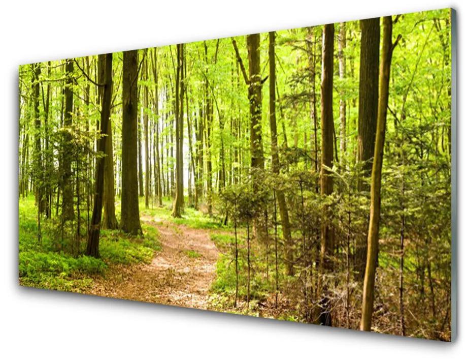 Quadro acrilico Foresta del percorso della natura 100x50 cm