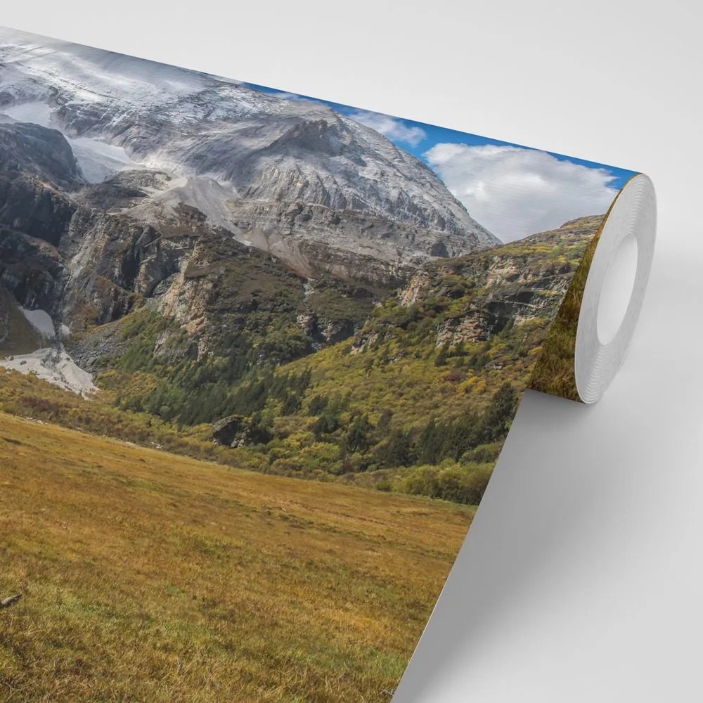 Carta da parati autoadesiva – Paesaggio montano maestoso