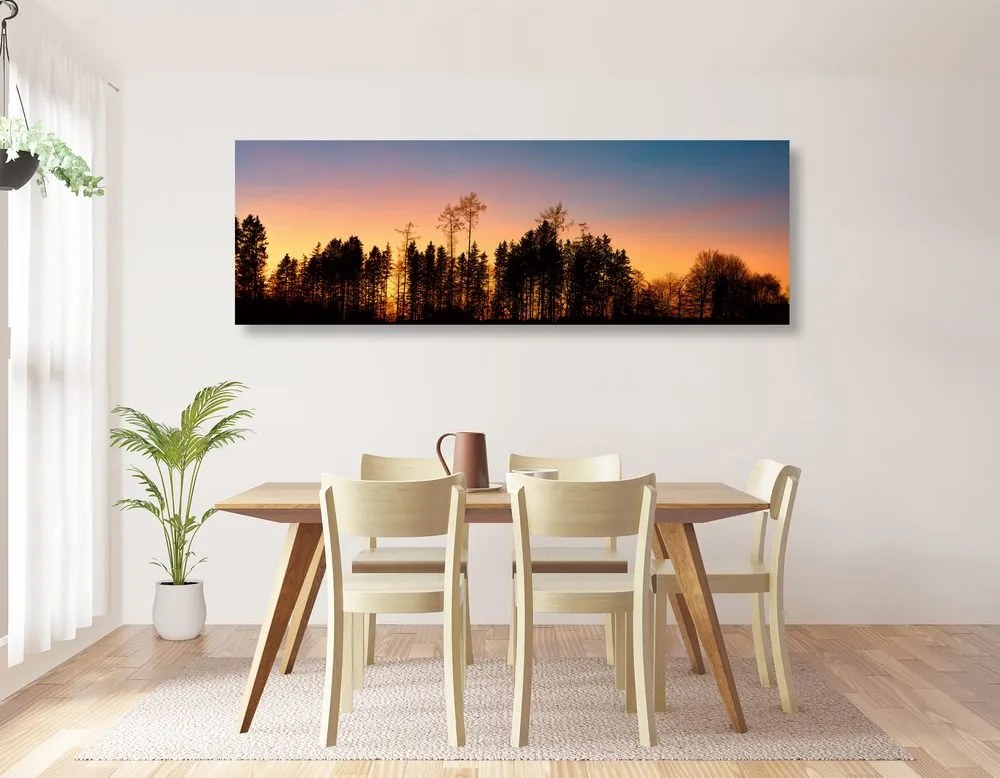 Quadro su tela – Foresta avvolta nell'oscurità