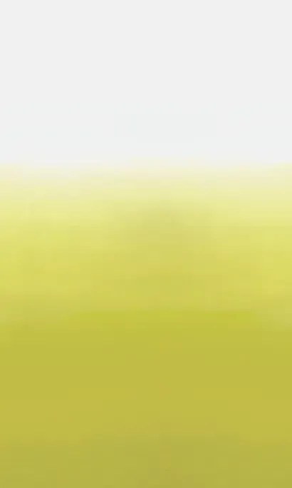 Wandbild Saraille von Designers Guild - Acacia