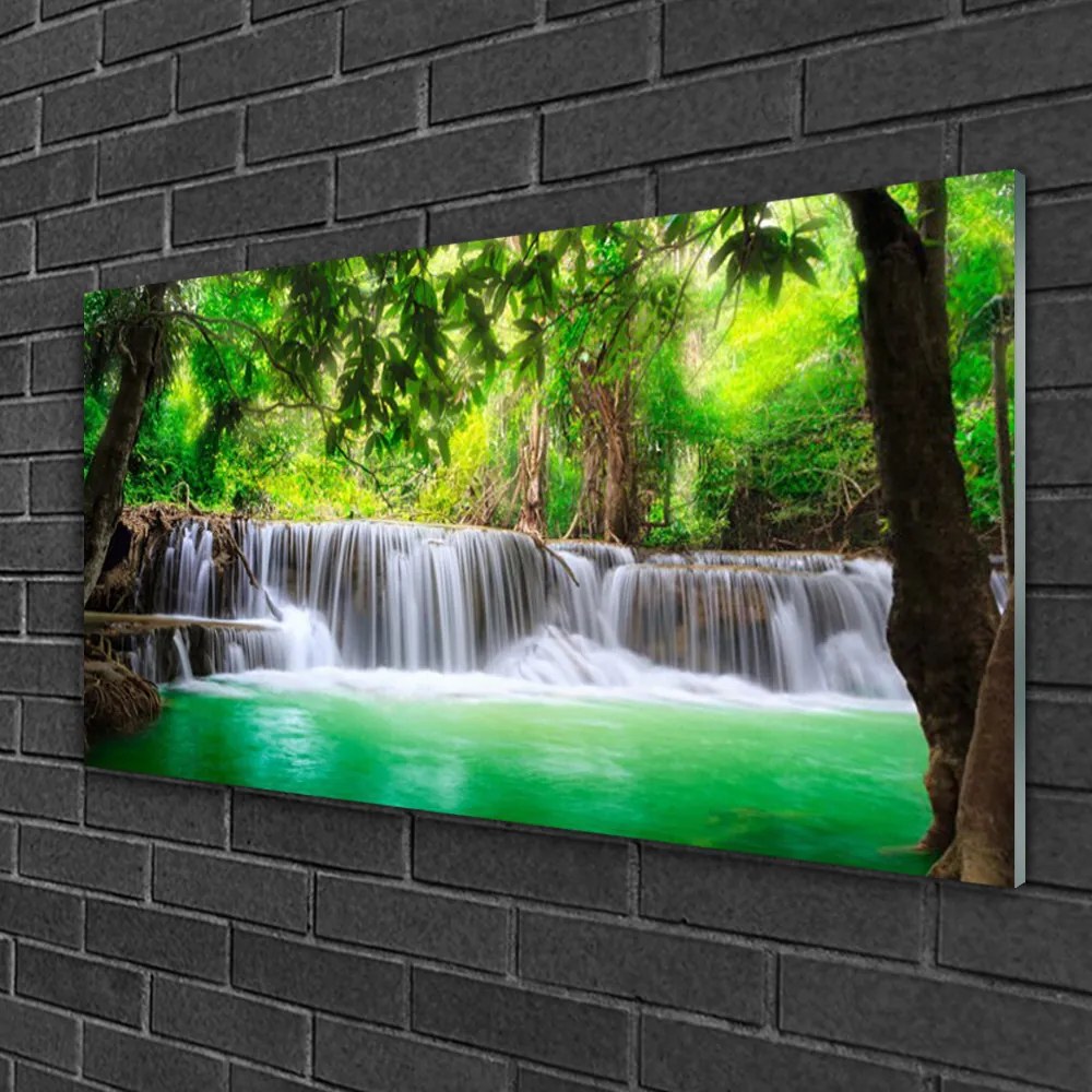 Quadro su vetro Cascata Lago Foresta Natura 100x50 cm