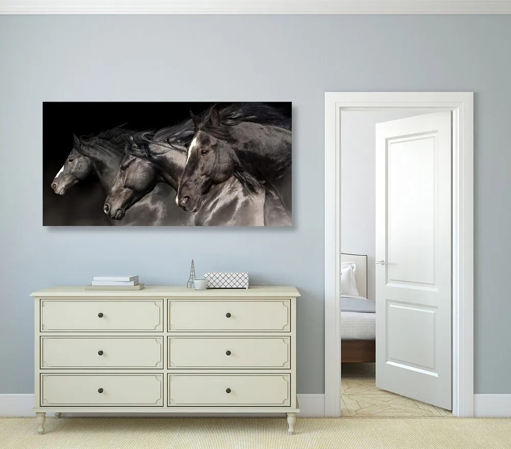 Quadro su tela – Tre cavalli al galoppo