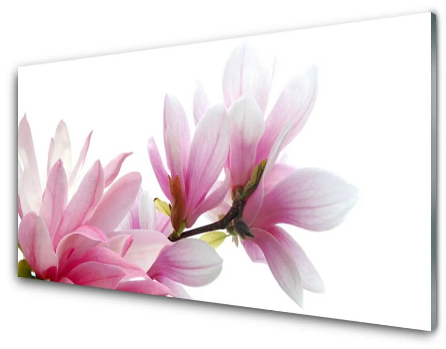 Quadro su vetro acrilico Fiore di magnolia 100x50 cm 2 appendini