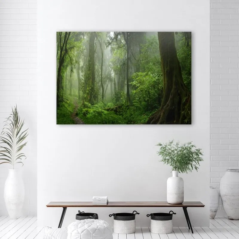 Quadro su tela, Foresta della giungla tropicale  Dimensioni 100x70