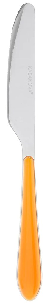 Coltello In acciaio