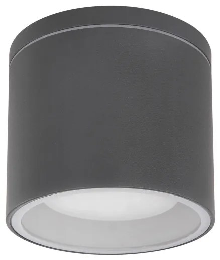 Globo 32063A - Plafoniera da esterno ALCALA 1xGX53/11W/230V IP44