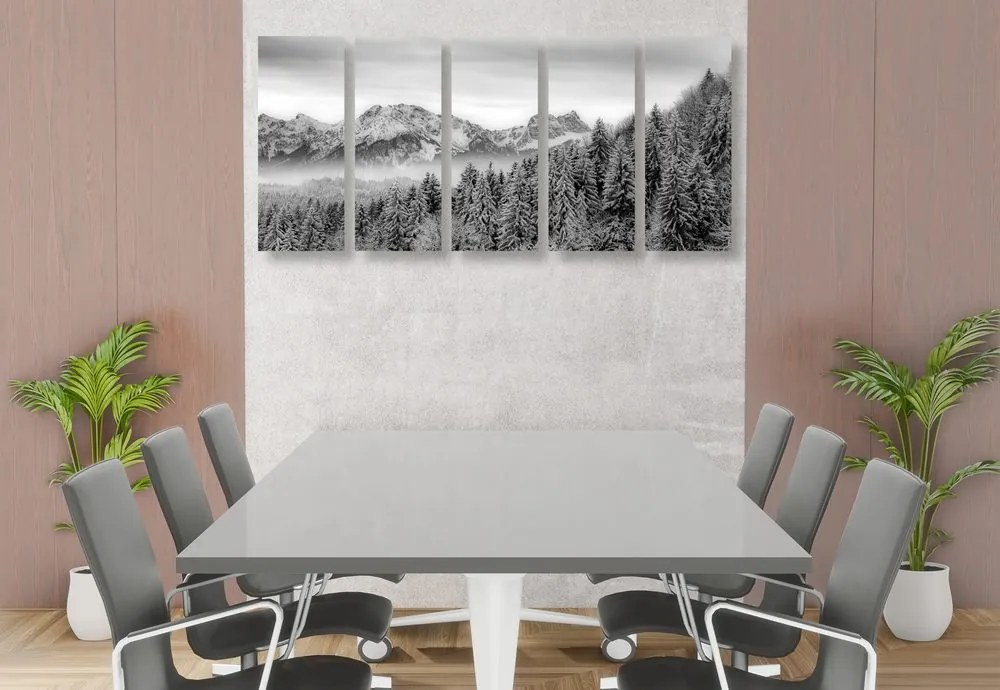 Quadri 5 pezzi – Montagne congelate in bianco e nero