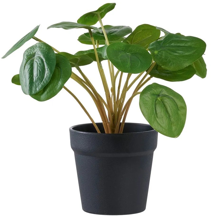 Pianta artificiale (altezza 28 cm) Pelia - House Nordic