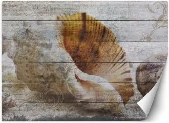 Carta Da Parati, Conchiglie Legno Mare Vintage 250x175