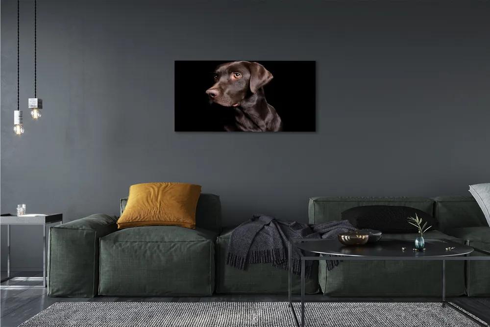Stampa quadro su tela Cane marrone 100x50 cm
