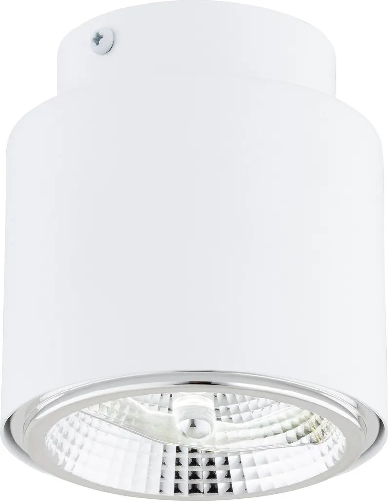 Lampada da Soffitto in Acciaio AR111 NANO 1 Bianco