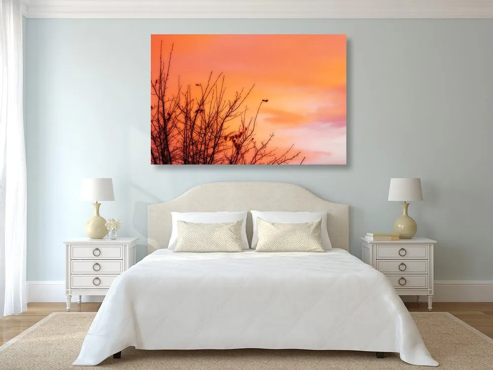 Quadro su tela – Cielo colorato