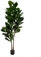 Pianta artificiale plastica Ficus cmh210