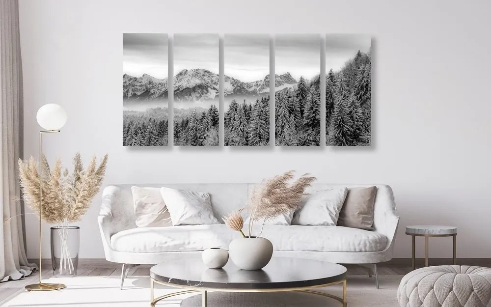 Quadri 5 pezzi – Montagne congelate in bianco e nero