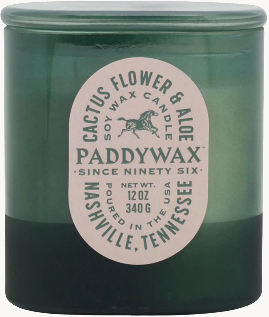 Candela profumata a tre stoppini Vista (fiore di cactus & aloe)