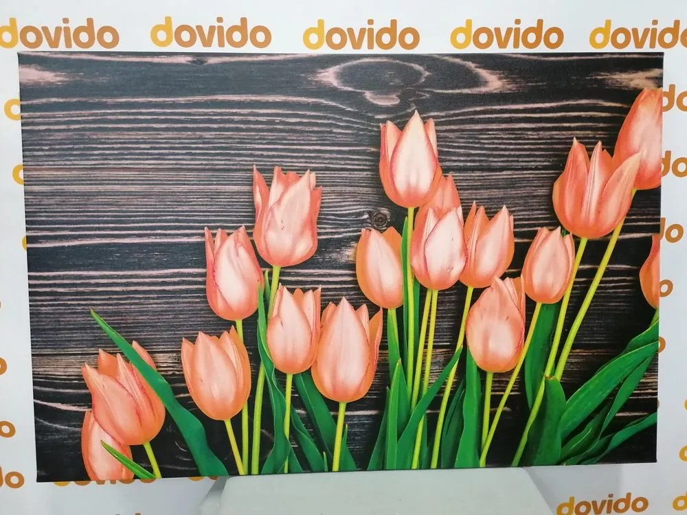 Stampa su tela – Incantevoli tulipani arancioni su sfondo di legno