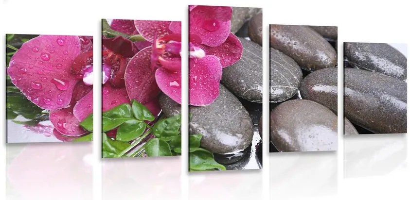 Quadri 5 pezzi – Orchidea fiorita e pietre wellness