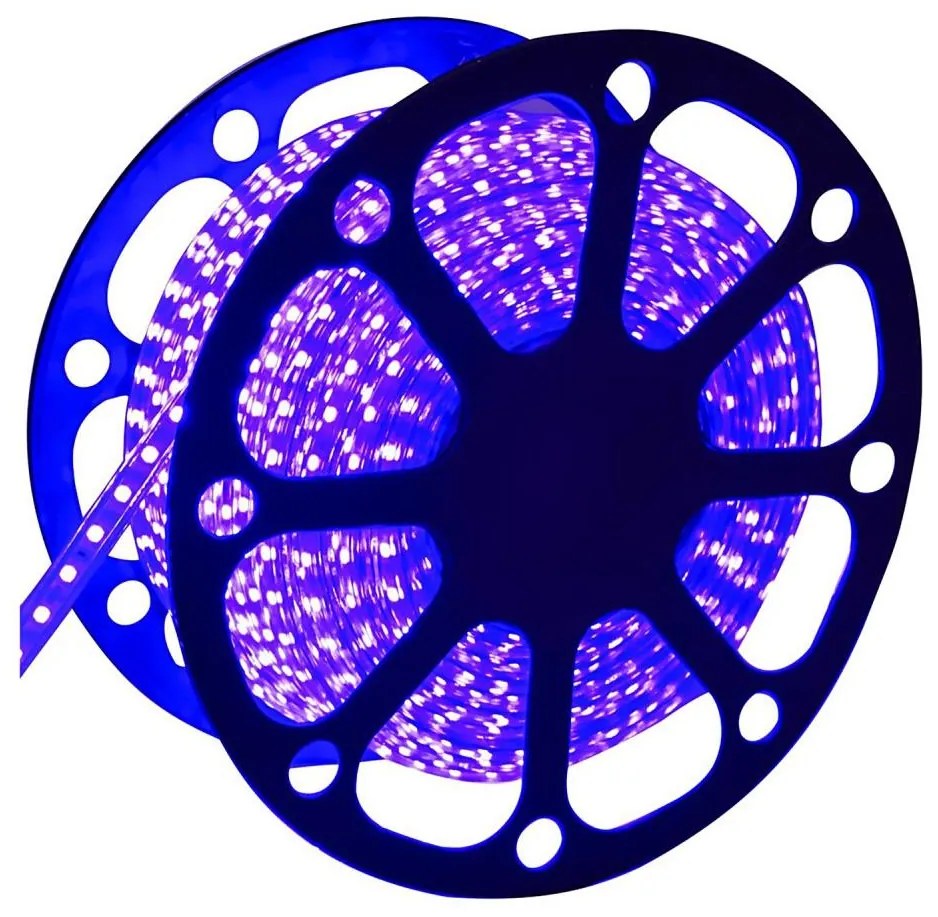 Aigostar - Striscia LED per esterni 50 m LED/300 W/230 V blu IP65