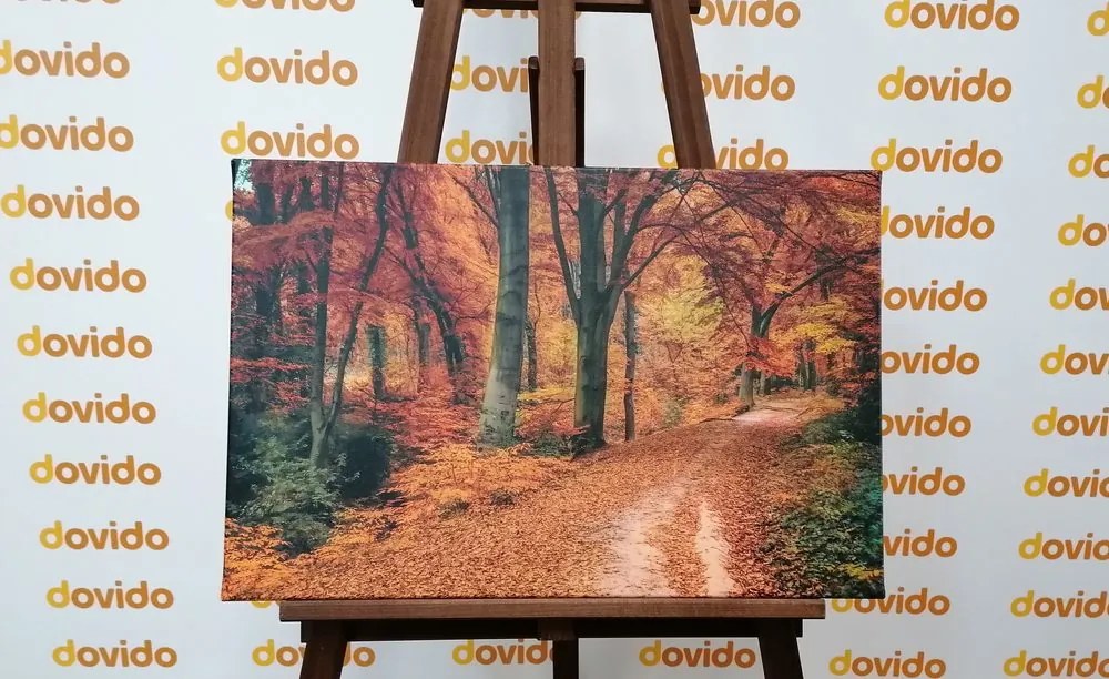Stampa su tela – Foresta in autunno