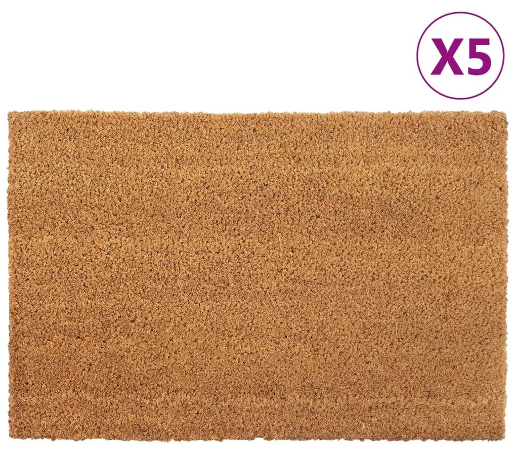 Zerbini 5 Pz Naturale 40x60 Cm İn Fibra Di Cocco /