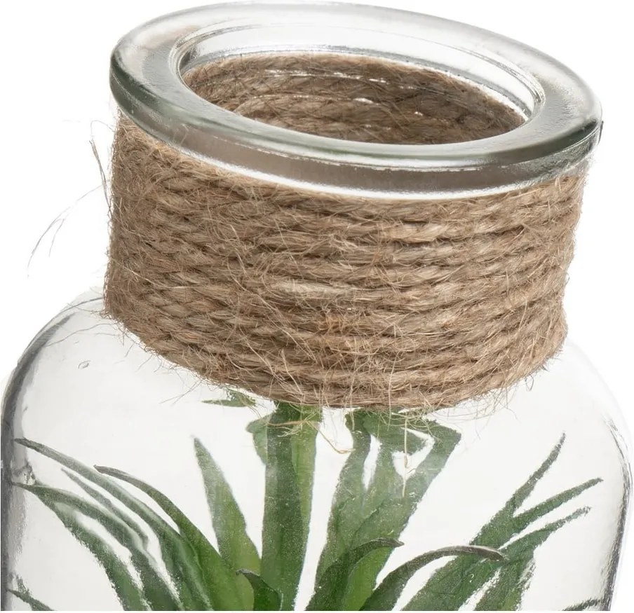 Set di piante finte 4 pz (altezza totale 12 cm) Cactus – Casa Selección