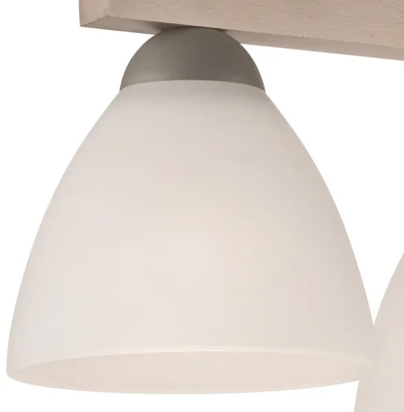 Lampadario ADRIANO 3xE27/60W/230V a plafone