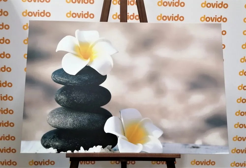Quadro su tela – Pietre armoniche e fiore di plumeria
