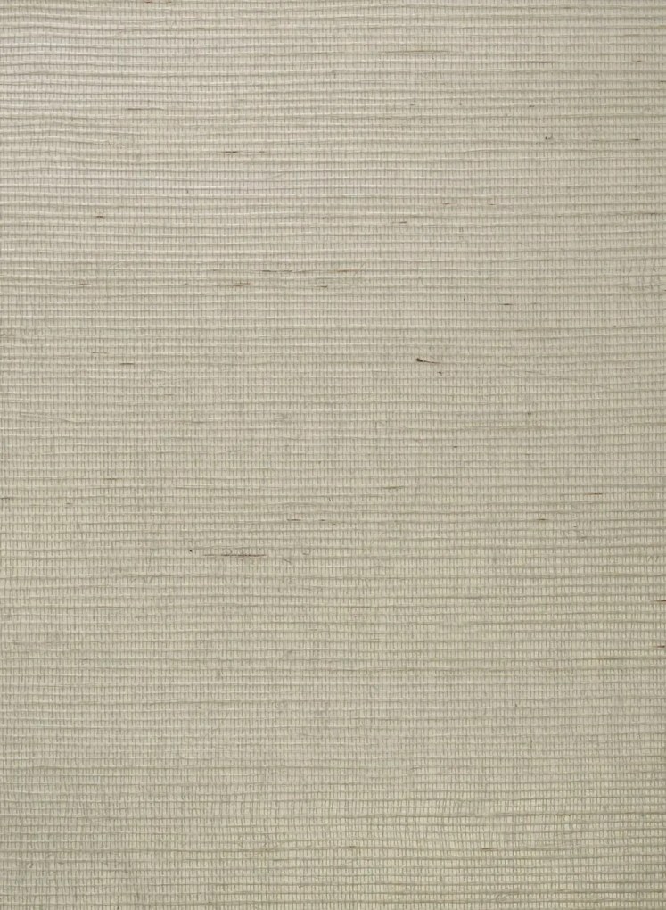 Andrew Martin Carta da parati Kongo - Chalk
