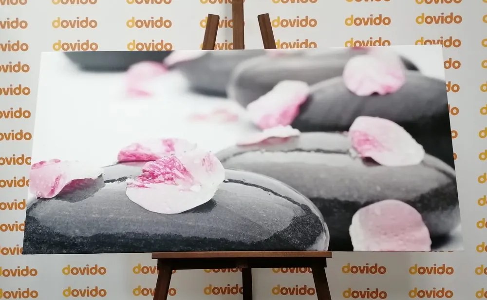 Quadro su tela – Pietre wellness con petali