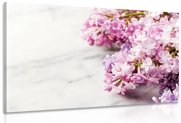 Quadro su tela – Splendidi fiori su sfondo di marmo