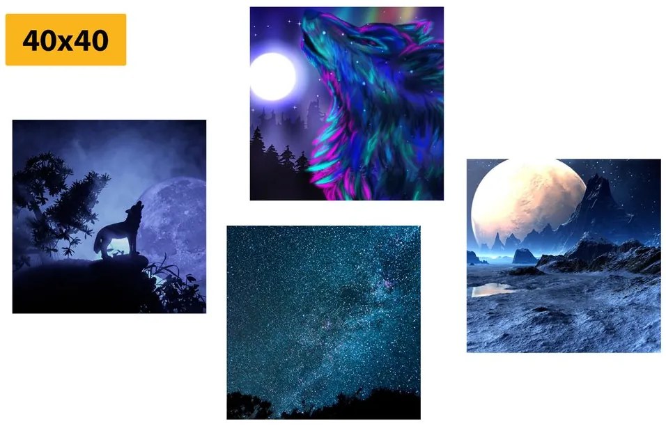 Set di quadri – Lupo misterioso
