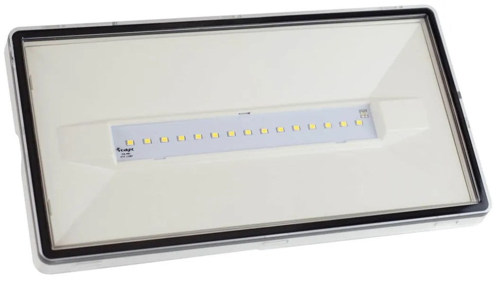 Lampada Emergenza 12W LED 732lm IP65 AutoTest funzione SE / SA Bianca