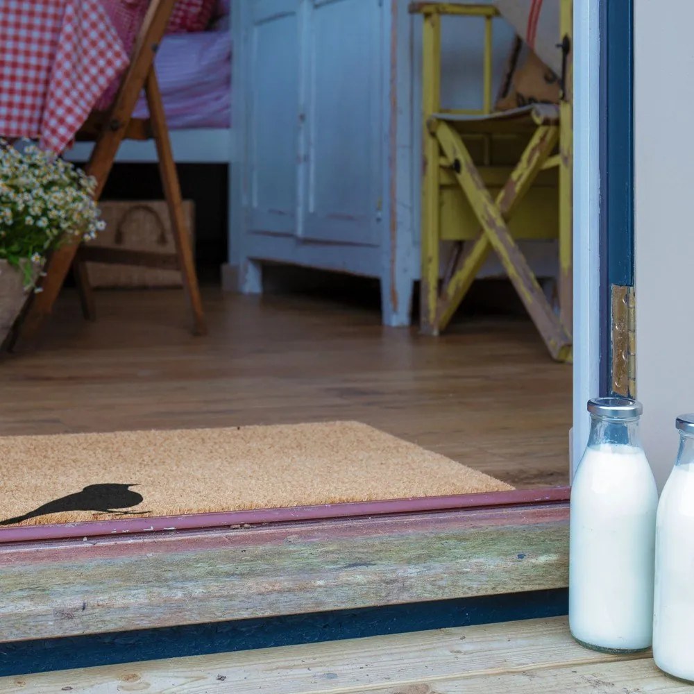 Zerbino in cocco 40x60 cm Bird - Artsy Doormats