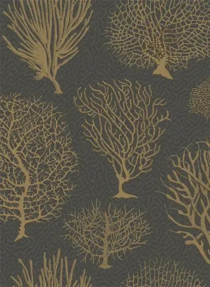 Cole & Son Carta da parati Seafern - Black/ Gold