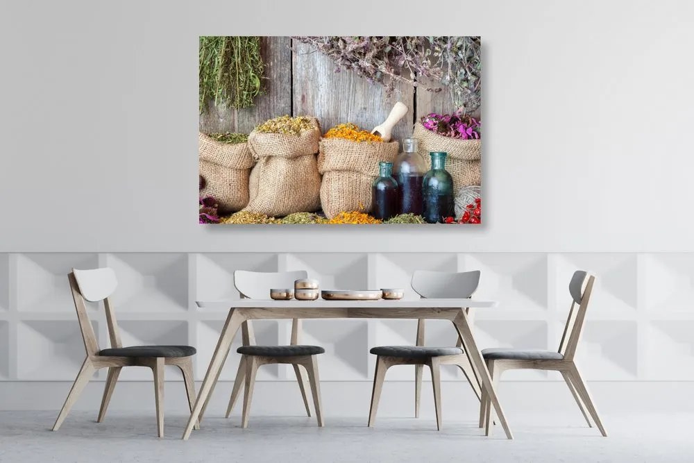 Quadro su tela – Erbe medicinali