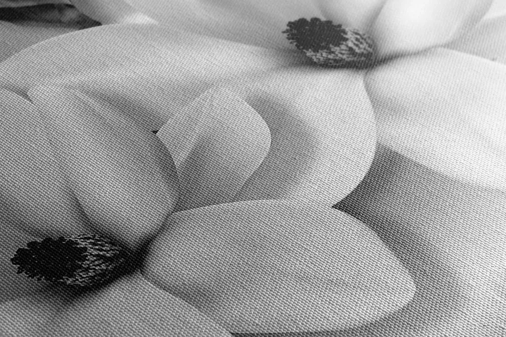 Stampa su tela – Magnolia di lusso con perle in bianco e nero