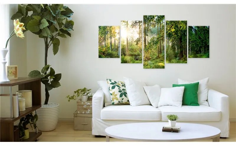 Quadro Green Sanctuary