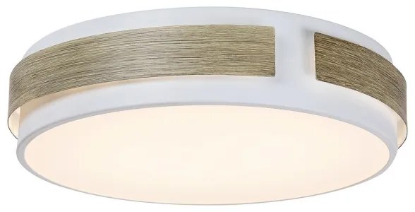Rabalux 5646 - Plafoniera LED dimmerabile SALMA LED/24W/230V