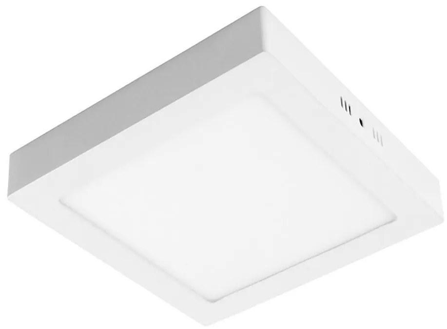 Plafoniera LED GERRY LED/24W/230V 3,000K